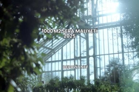 1000 m2 Sera Maliyeti 2025